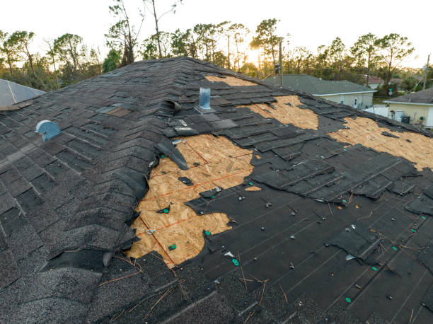  Coral Gables, FL Roofing Service Pros